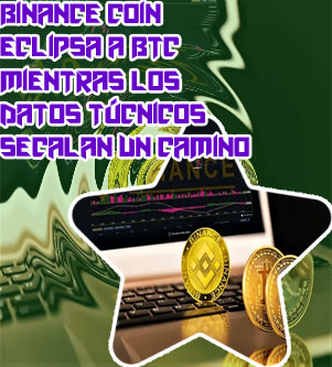 Binance btc bnb