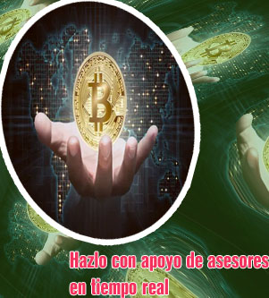 Criptomonedas valor tiempo real